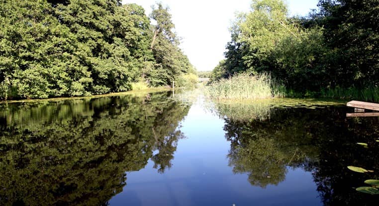 Forest, Lake, Park, Outside Gym