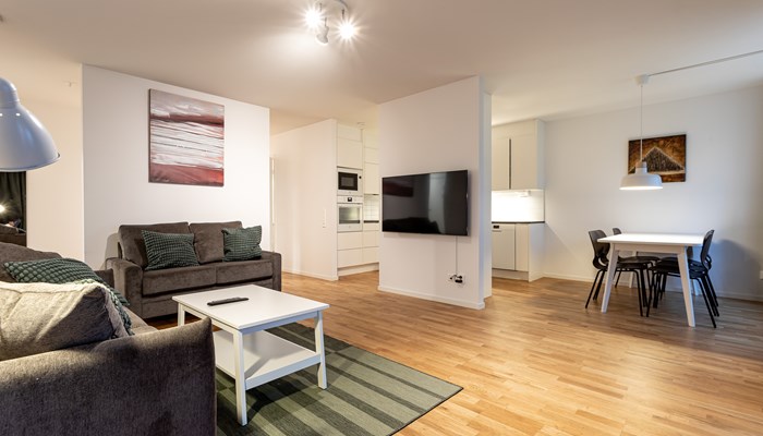 living room apartment short-term rental Solna.jpg