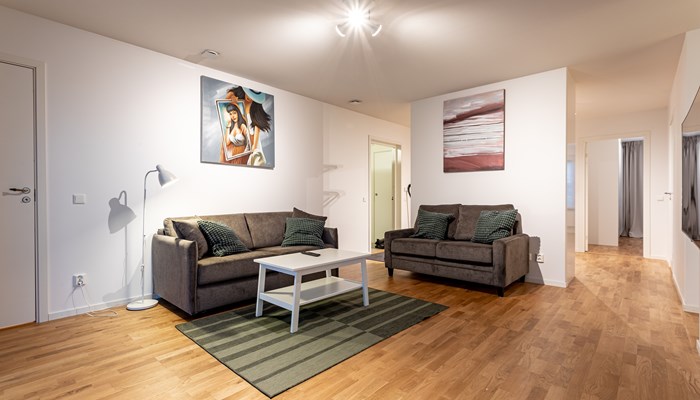 Rent apartment in Solna living room.jpg